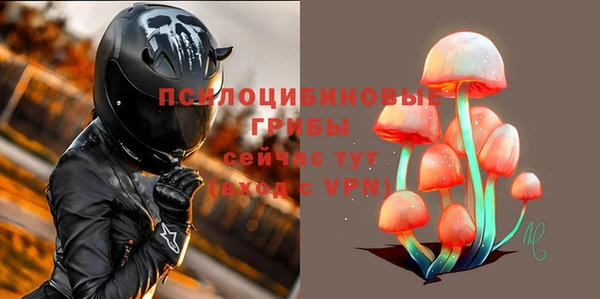 метадон Нея