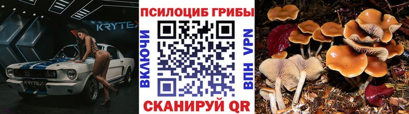Псилоцибиновые грибы Psilocybine cubensis  Купить  Абдулино 
