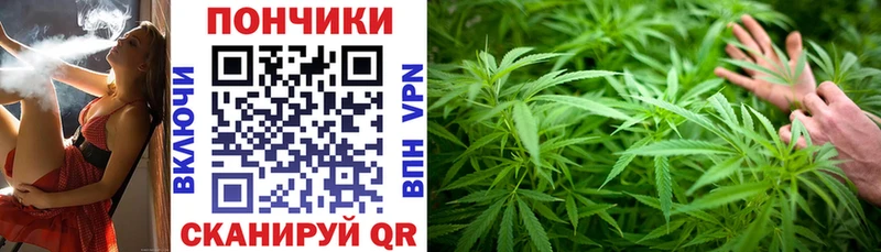 Купить где  Абдулино  Бошки марихуана сатива